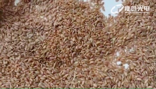 Clasificación de arroz sin pulir: no solo clasificación de arroz rojo sin pulir
