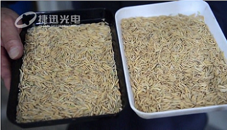 ¿Cómo resolver la tasa sorprendentemente alta de procesamiento del arroz? --- parte 2