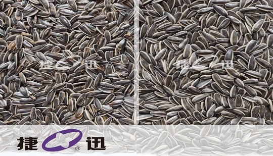 ¿Quién ayuda al proveedor de calidad alimentaria de Qiaqia, Tenghongyuan Trade, a liderar la nueva era de la calidad?
