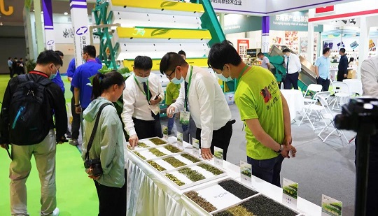 Hangzhou Tea Expo Conciencia actualizada de la selección de calidad, profundo avance en la tecnología de clasificación de té