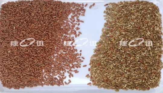 La clasificación de la calidad del arroz con cáscara y sin pulir ahorrará granos y reducirá las pérdidas de decenas de millones de empresas de granos.
