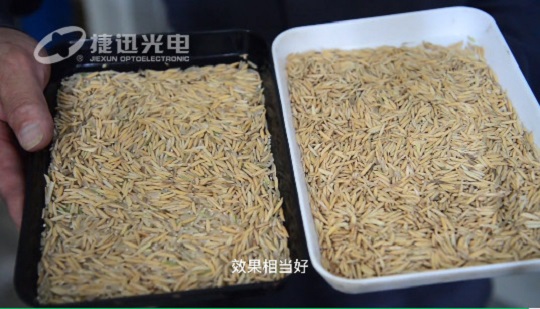 ¿Cuánto sabe sobre los tres procesos innovadores de clasificación de arroz con cáscara y sin pulir?
